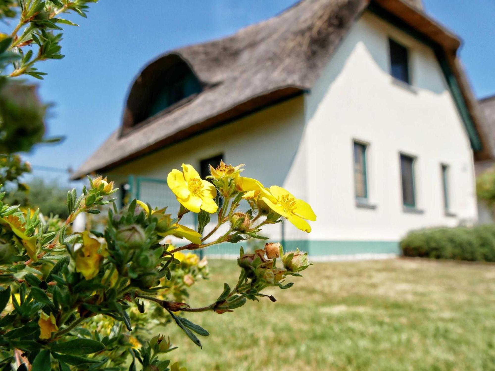 Ferienpark Scharmuetzelsee Wendisch Rietz Buitenkant foto